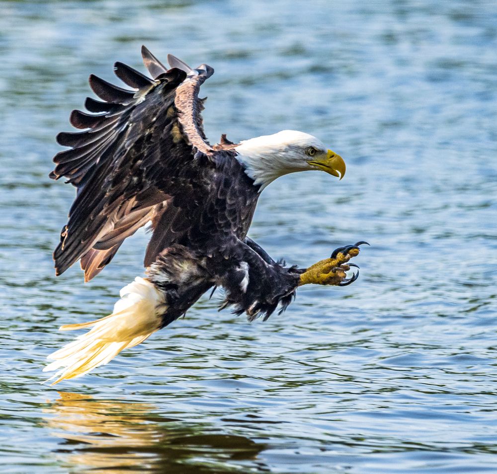 Photograph by Lisa Watkins