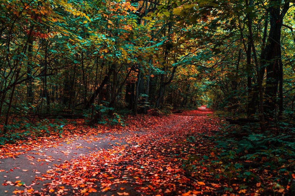 Photograph by Андрей Шишлов