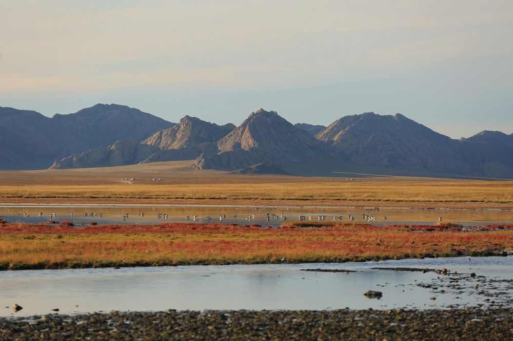 Photograph by Ирина Сушко