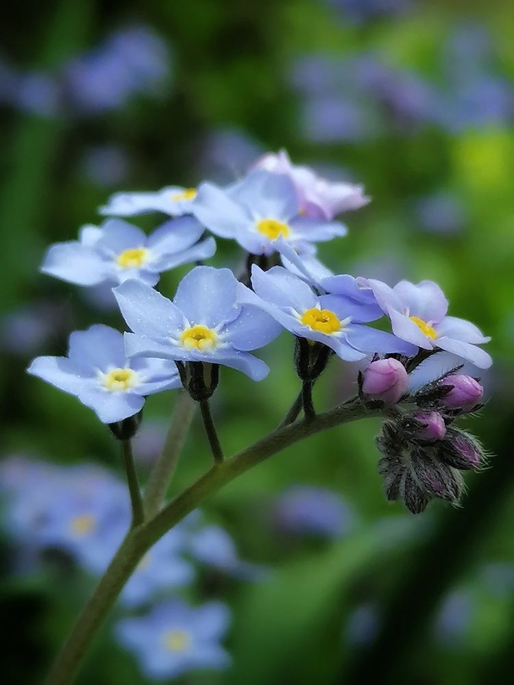 Photograph by Лилия Багдасарова