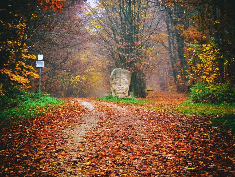 Photograph by DAMOUN POURNEMATI