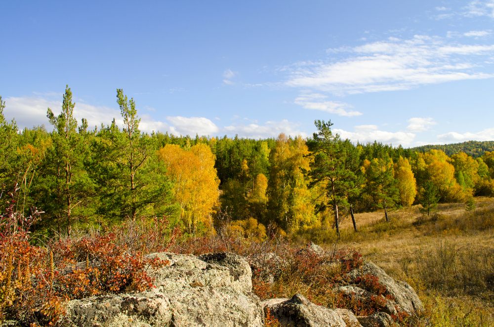 Фотография автора Сергей Ляшко