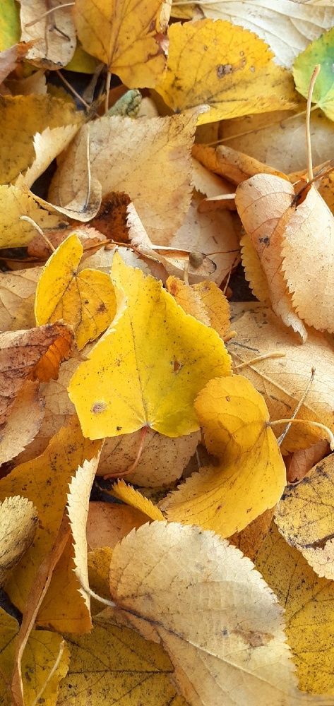 Photograph by Евгения Ульянова