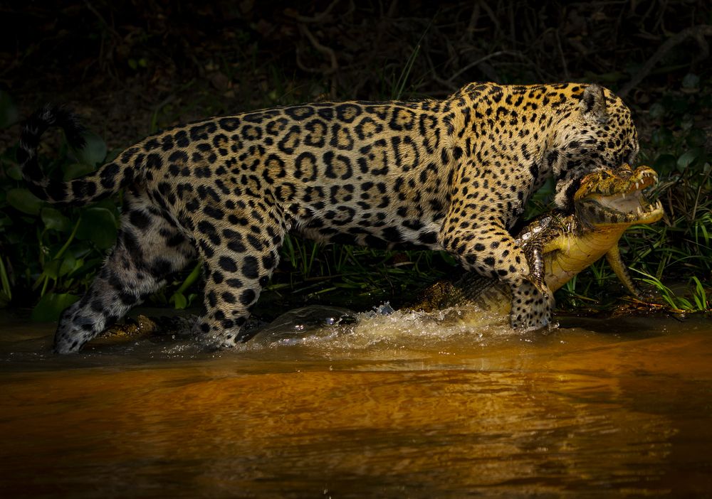 Photograph by Alberto Camardiel