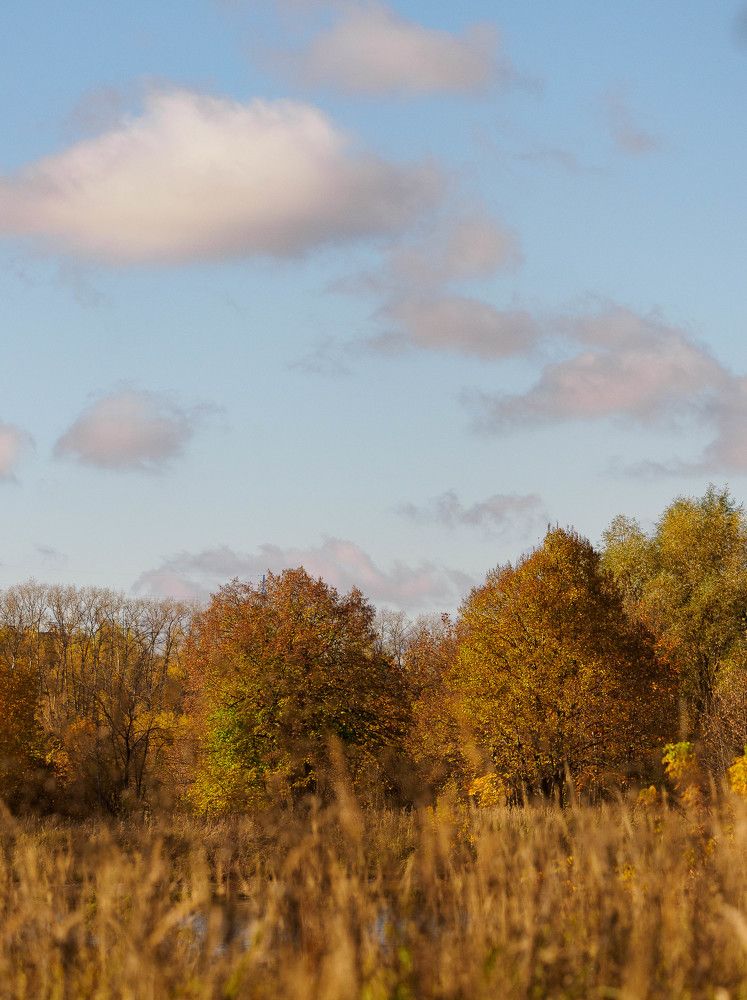 Photograph by Юлия Герман