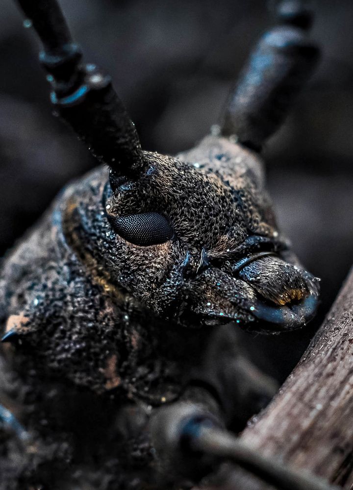 Photograph by Олеся zme