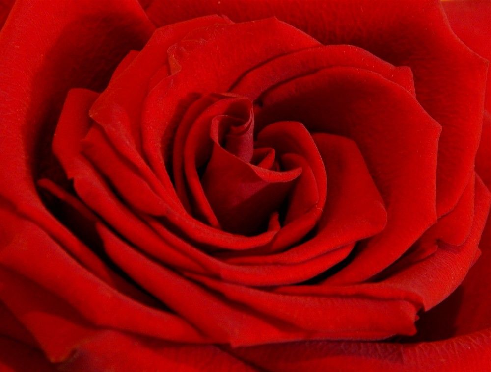 Photograph by Ирина Самойленко