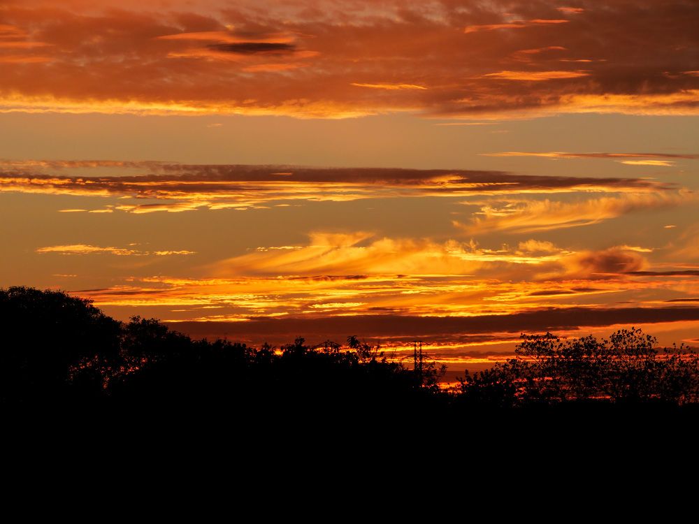 Photograph by Philippe CRUCIATA