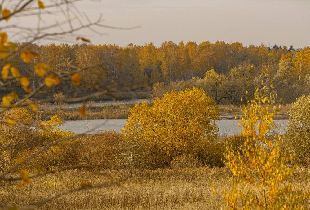 Photograph by Юлия Герман