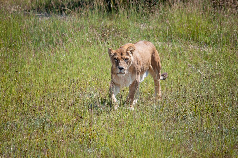 Photograph by Владислав Капанов