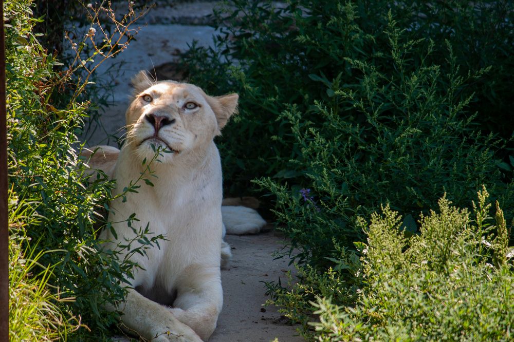 Photograph by Владислав Капанов