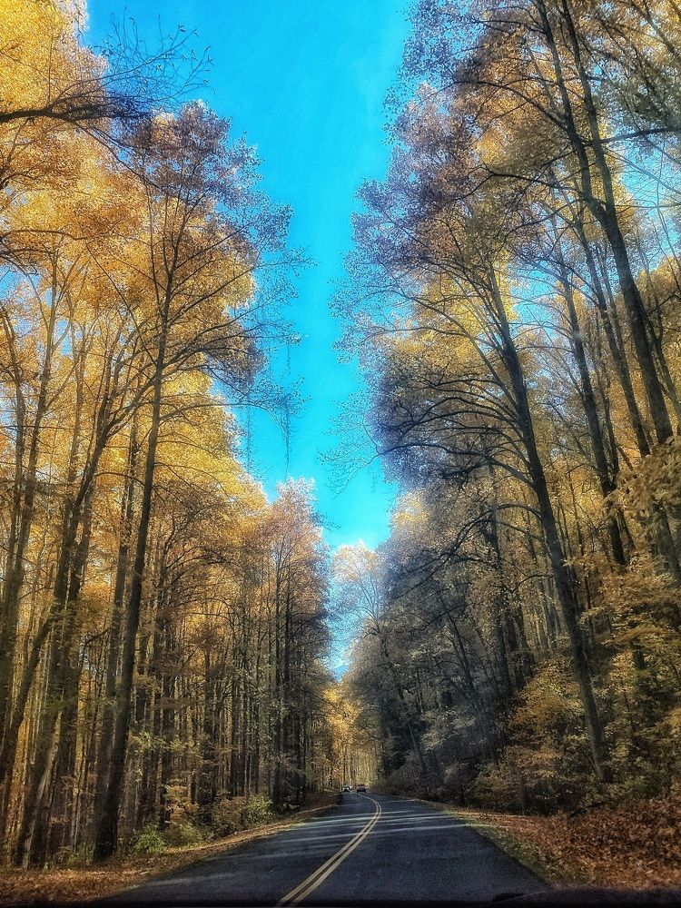 Photograph by Tyler Dewees