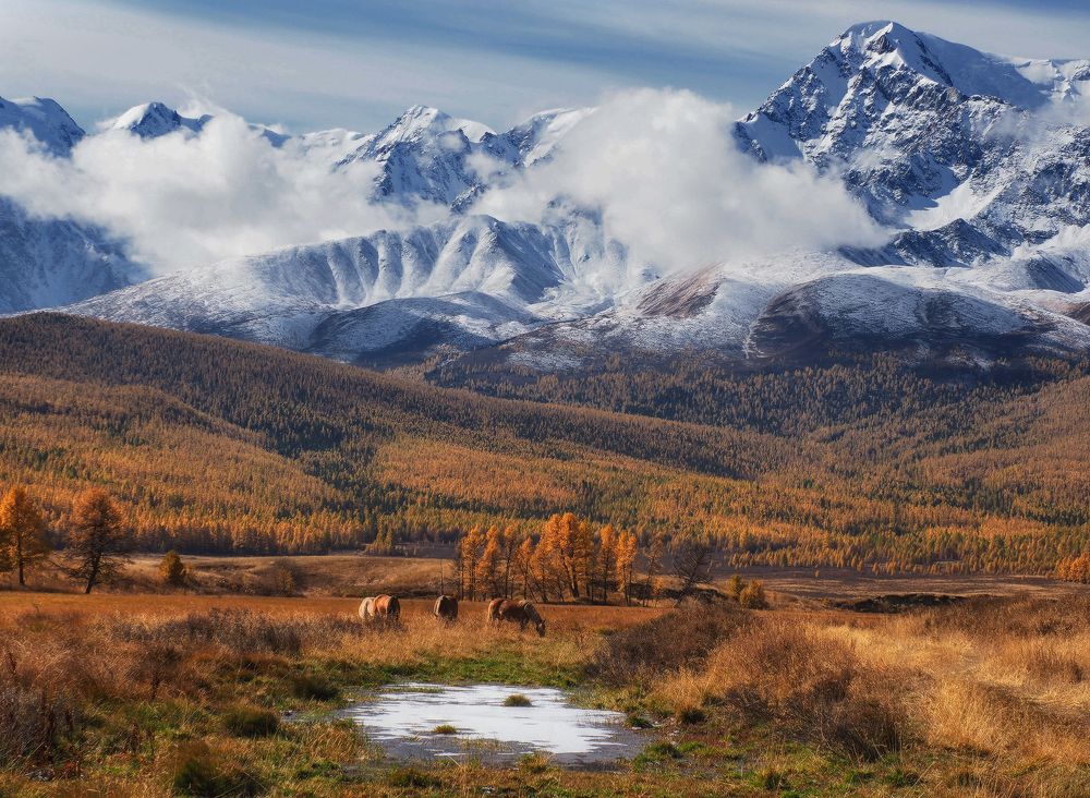 Photograph by Галина Хвостенко