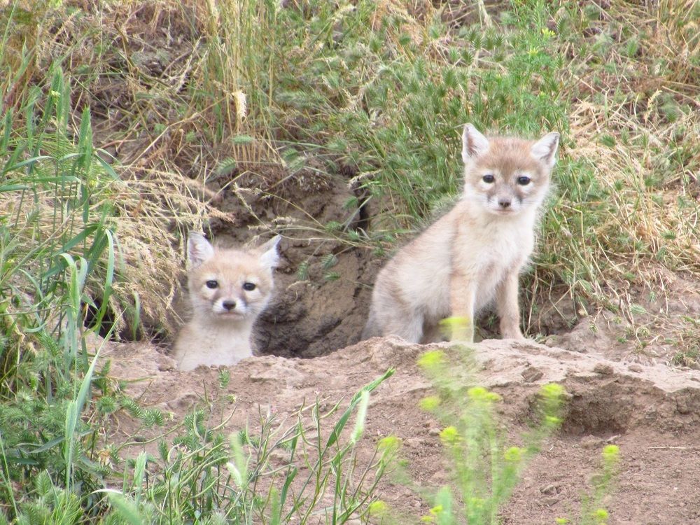 Photograph by Денис Веску