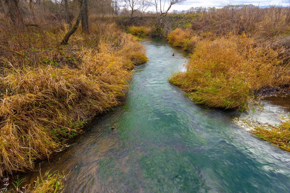 Фотография автора Виталий Дузь