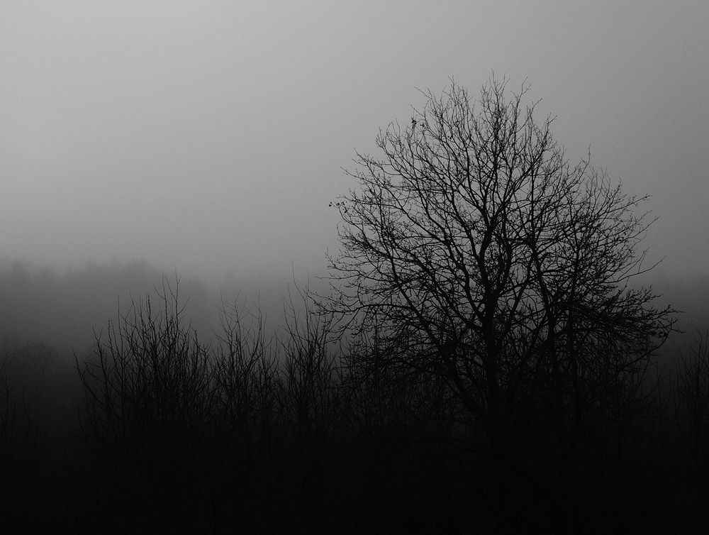 Photograph by Вячеслав Швецов