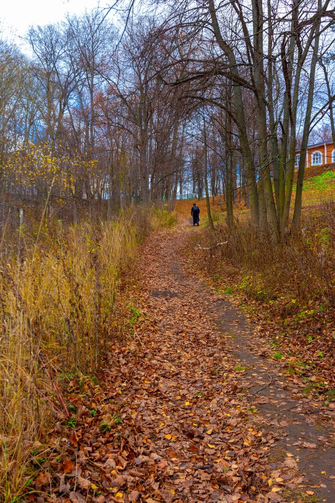 Фотография автора Виталий Дузь