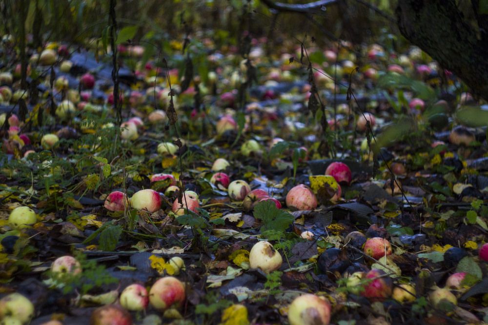 Photograph by Владислав Капанов