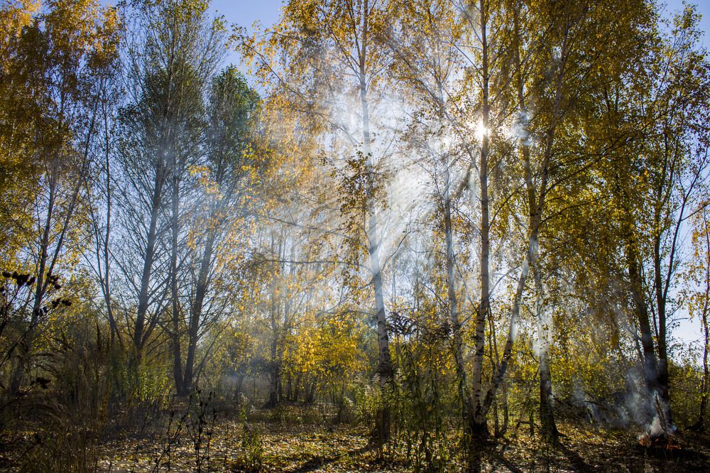 Photograph by Владислав Капанов