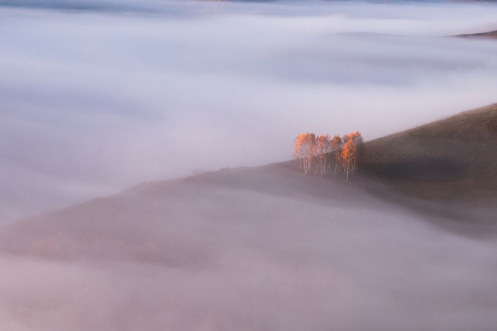 Photograph by Flegner Calin