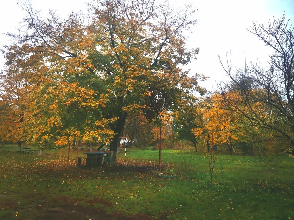 Фотография автора OXANA MARSOVA