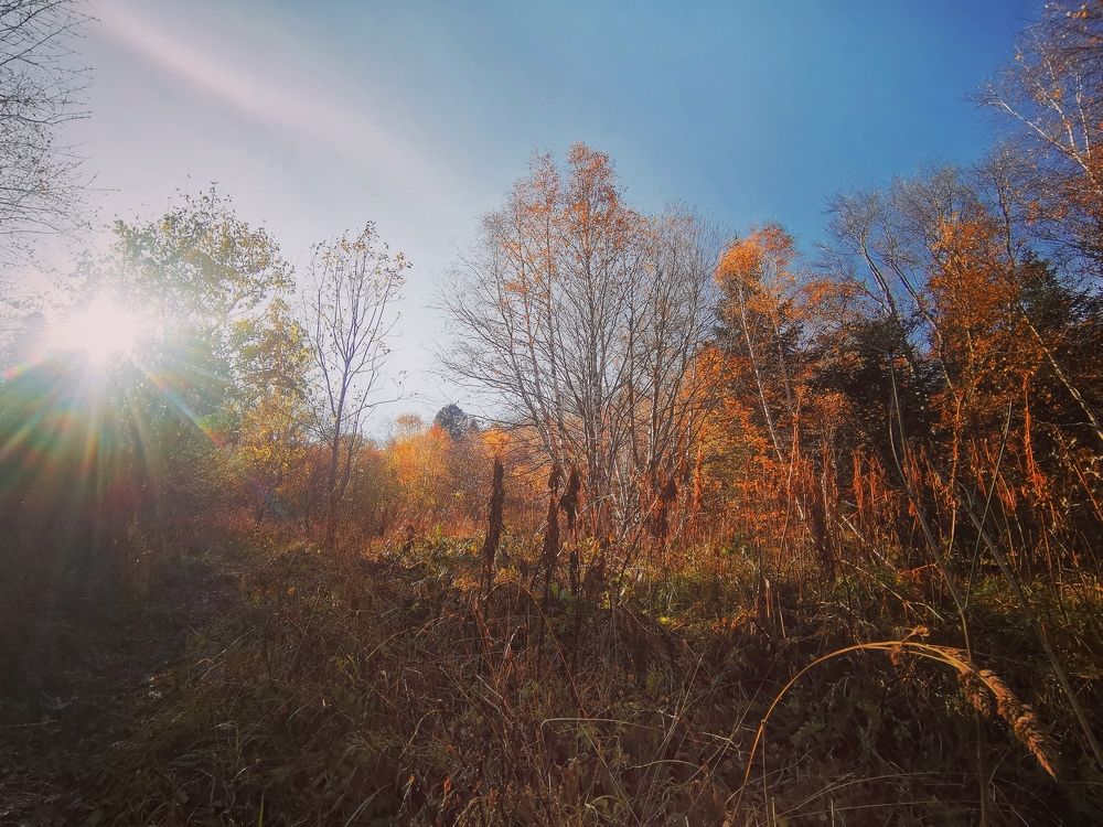 Фотография автора OXANA MARSOVA