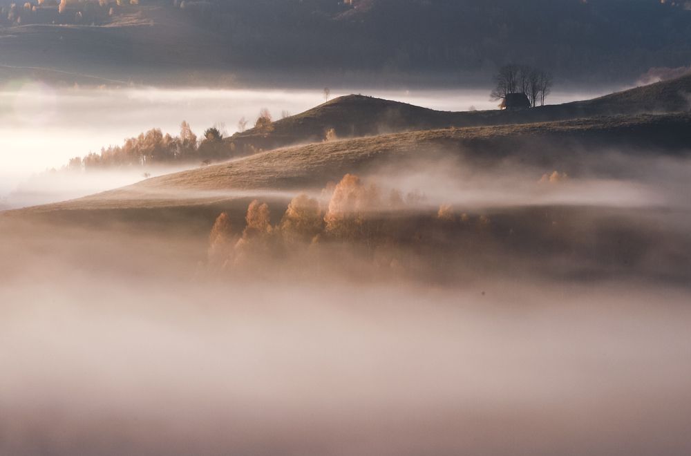 Photograph by Flegner Calin