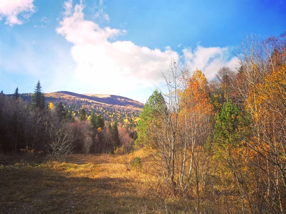 Фотография автора OXANA MARSOVA