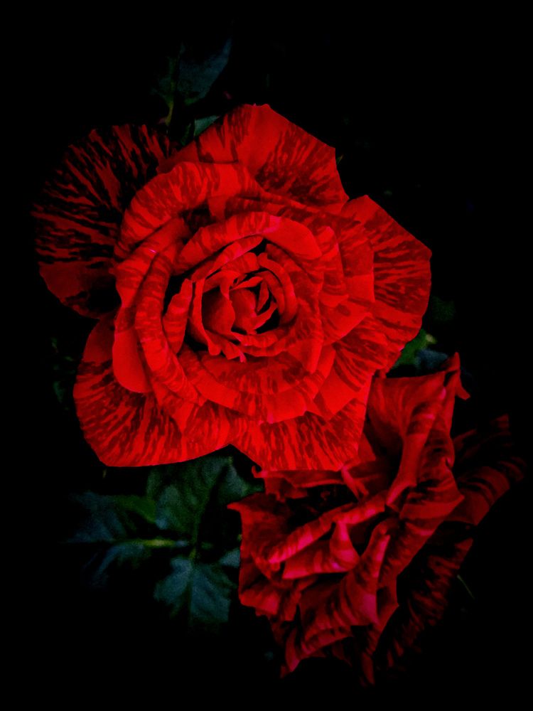 Photograph by Любовь Толстова