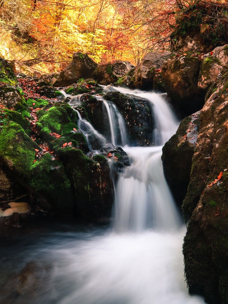 Фотография автора Flegner Calin