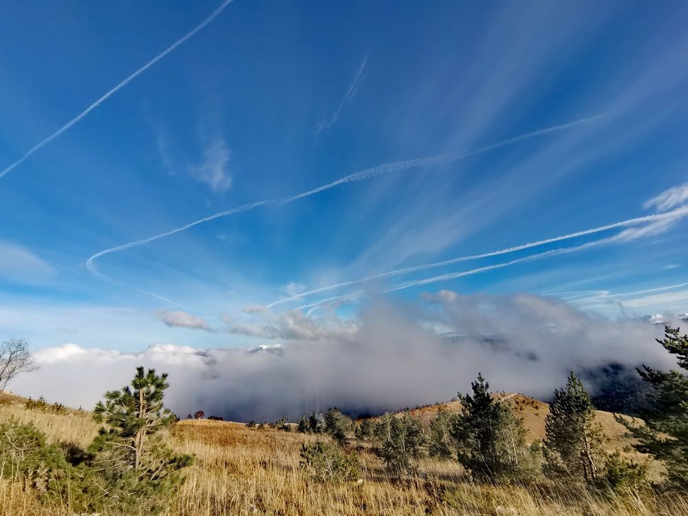 Фотография автора OXANA MARSOVA