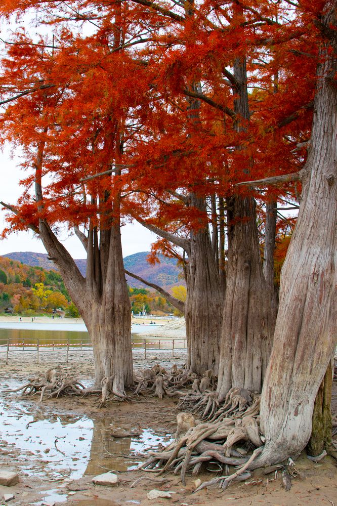 Photograph by Владимир Жигулин