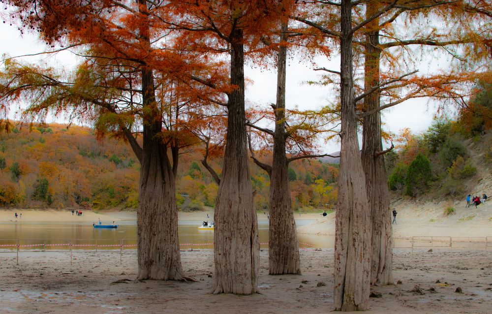 Photograph by Владимир Жигулин