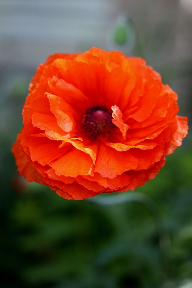 Фотография автора Aleksandr Kondakov