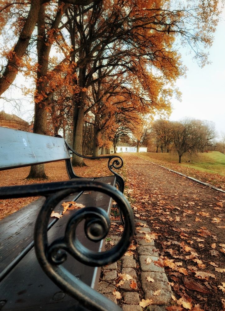 Фотография автора Alina Filimonova