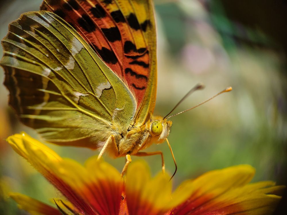 Photograph by Дина Горбачёва