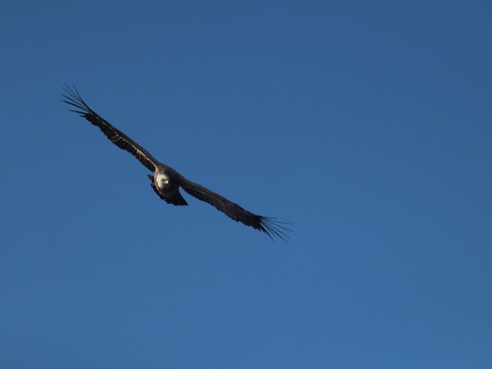 Photograph by Андрей Хитрун