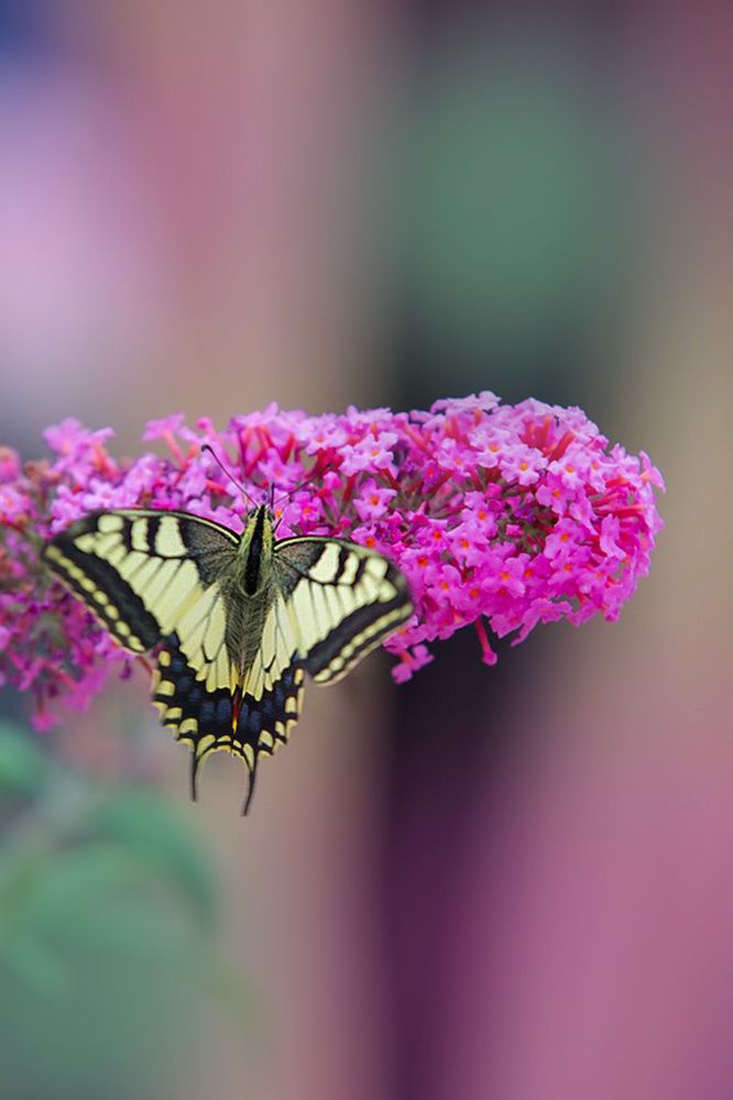 Photograph by Ирина Подгорная