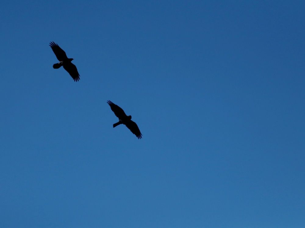 Photograph by Андрей Хитрун