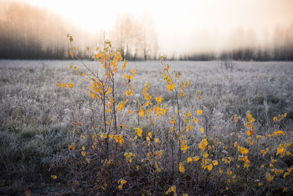 Photograph by Максим Ушаков