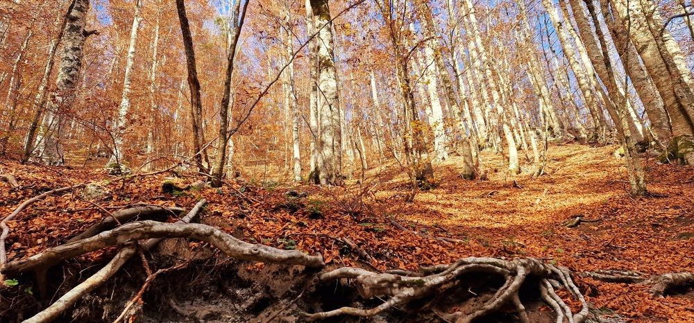 Photograph by Nadzeya