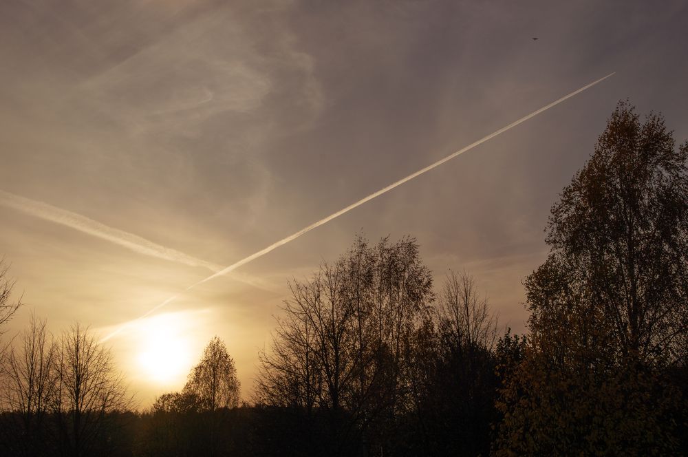 Photograph by Дарья Сергеева