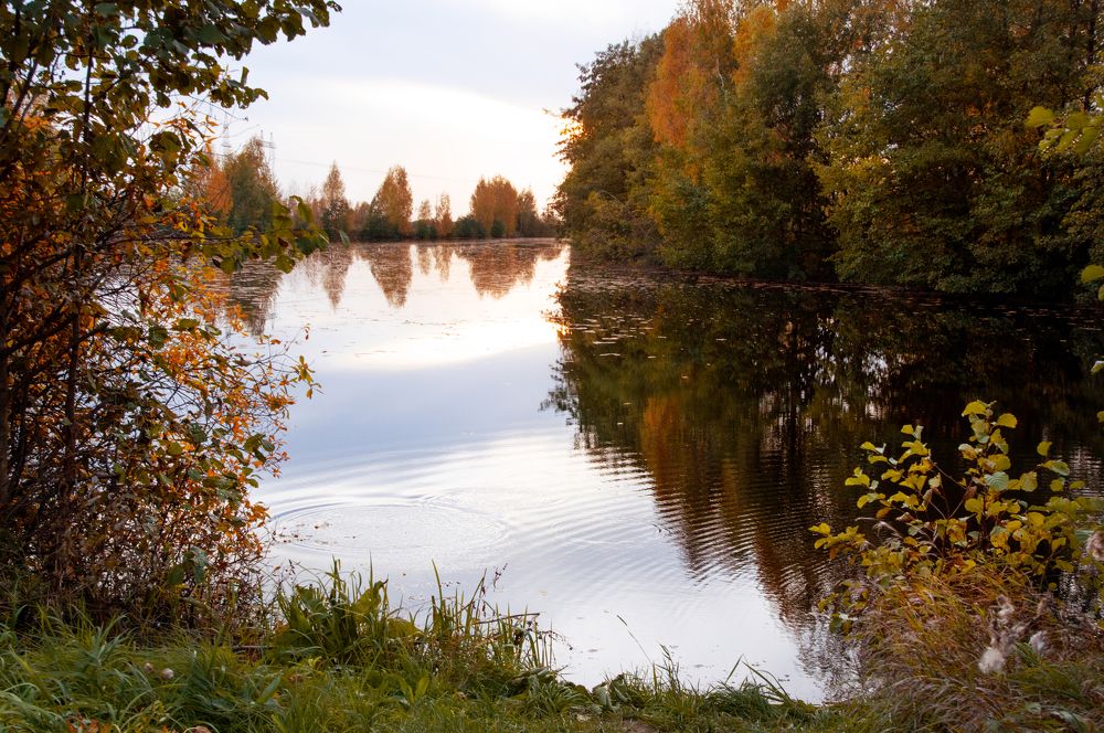 Photograph by Дарья Сергеева