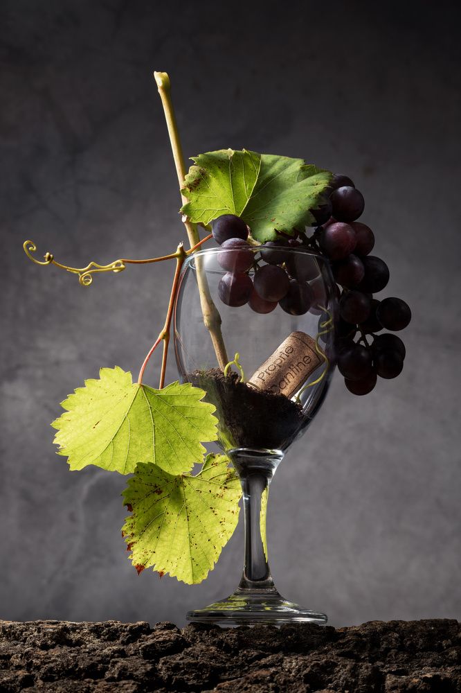 Фотография автора Anna Ilieva-Alikaj