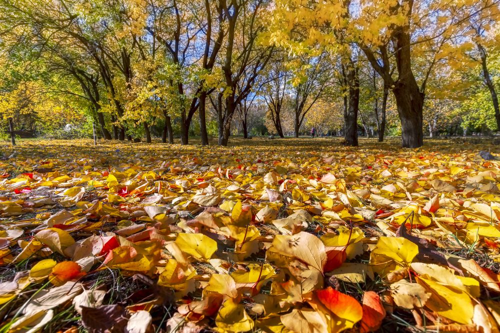 Photograph by Юрий Левко