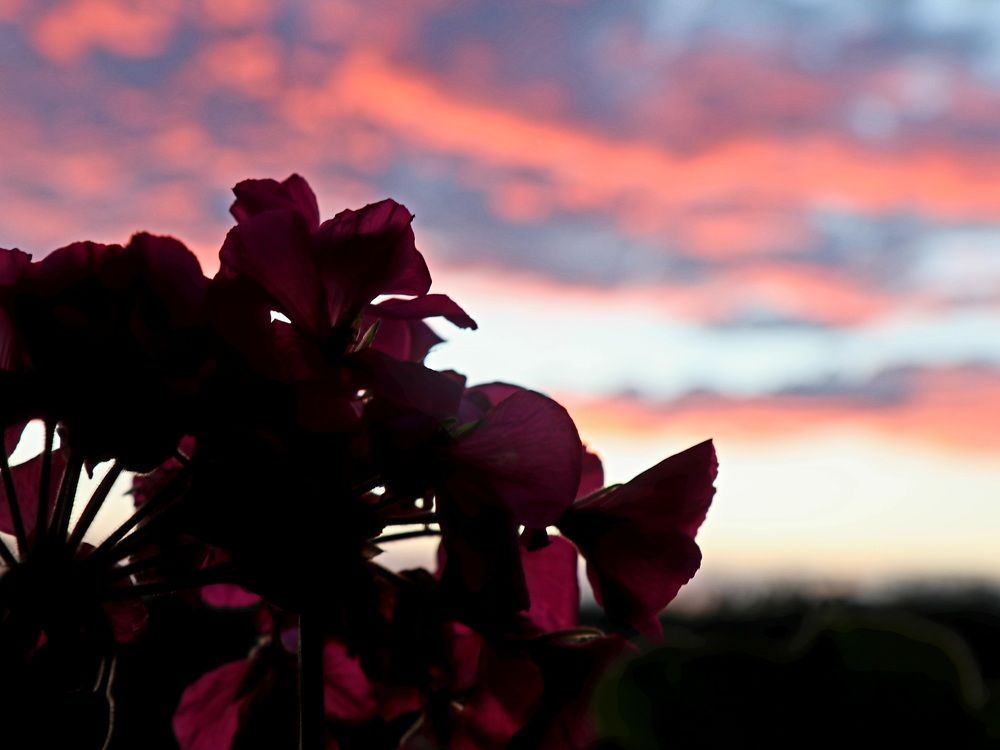 Photograph by Андрей Хитрун