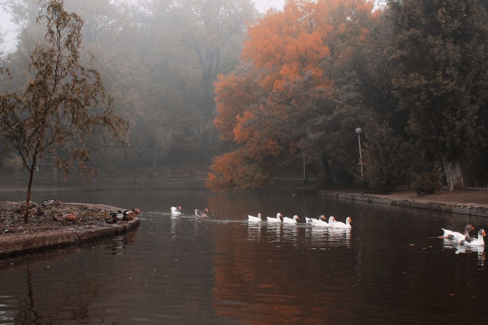 Photograph by Алёна Тополян