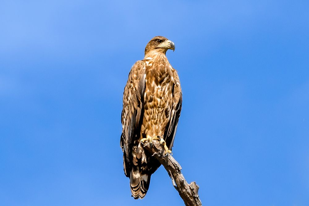 Photograph by Irina Condurachi