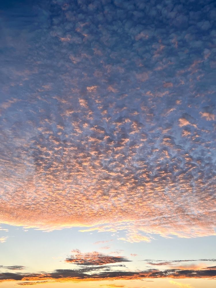 Photograph by Sharma Dr Megha