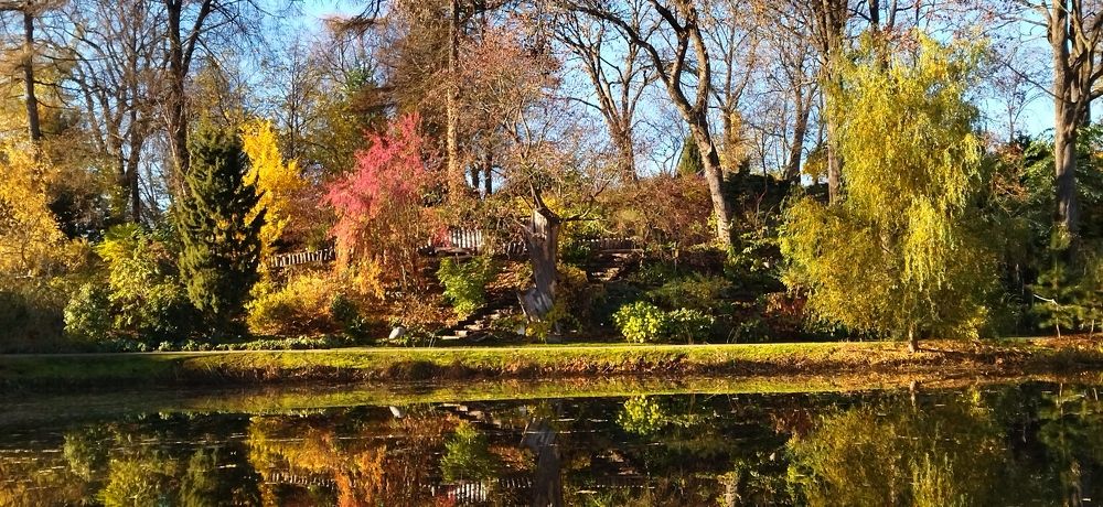 Осень у пруда